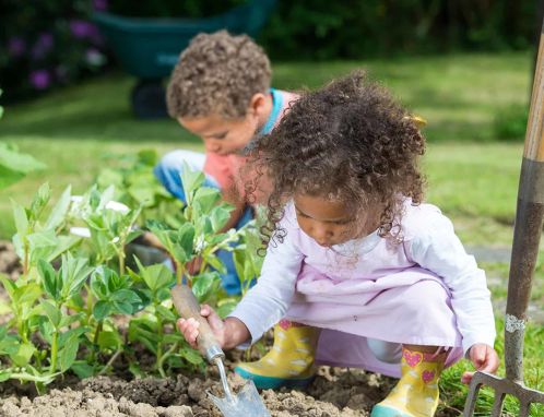 Unit 1: Spring for Toddlers | Cox Campus