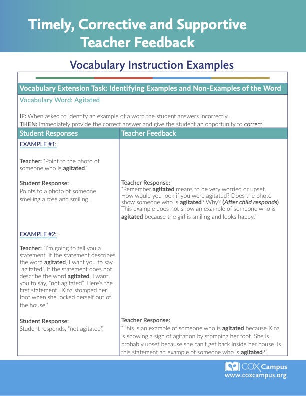 Vocabulary Activity Teacher Feedback