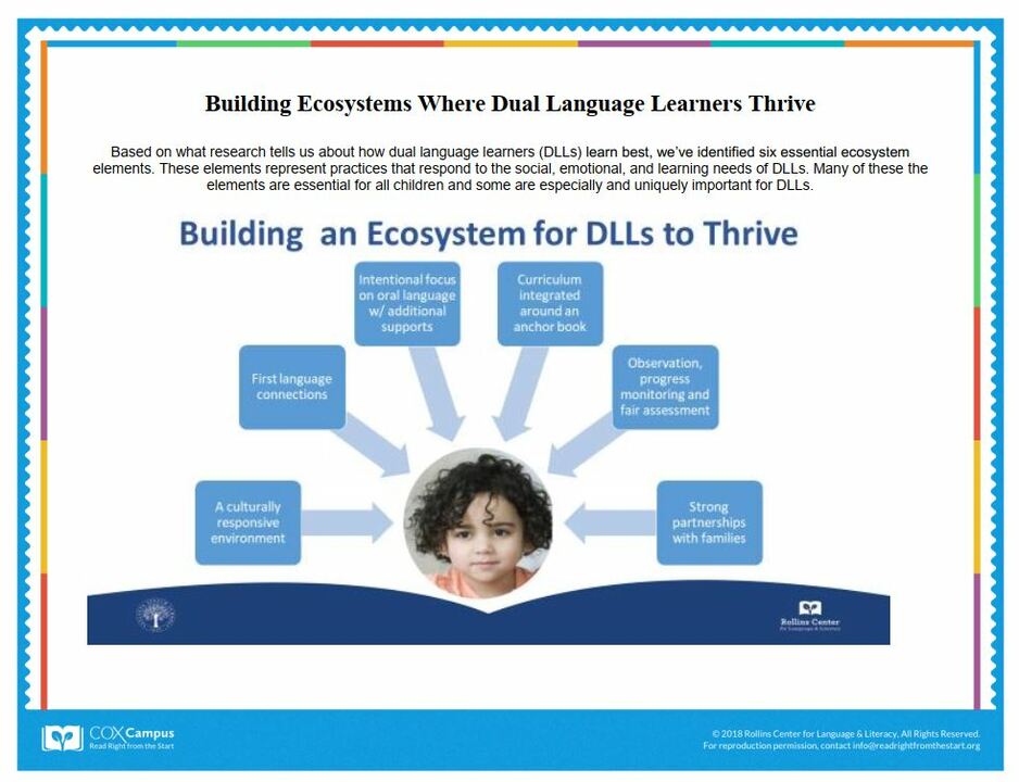 Building an Ecosystem for DLLs to Thrive